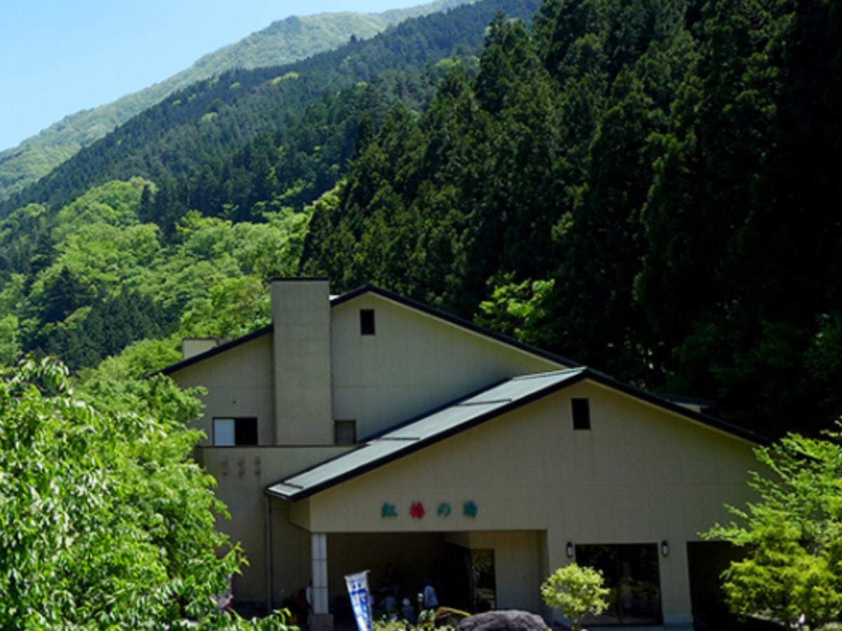 「道志川温泉 紅椿の湯」公式Webサイトより