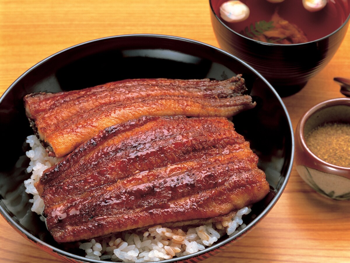 近畿大学がまた快挙 うなぎ味 のなまず は うなぎ になれるのか All About News