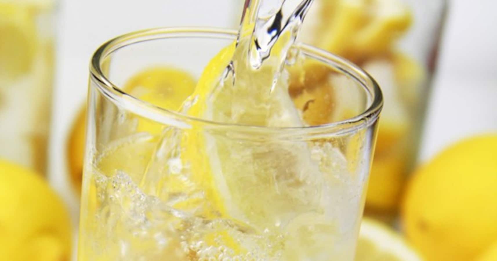 ポストハイボールとして人気の レモンサワー なぜここまで進化した Citrus シトラス