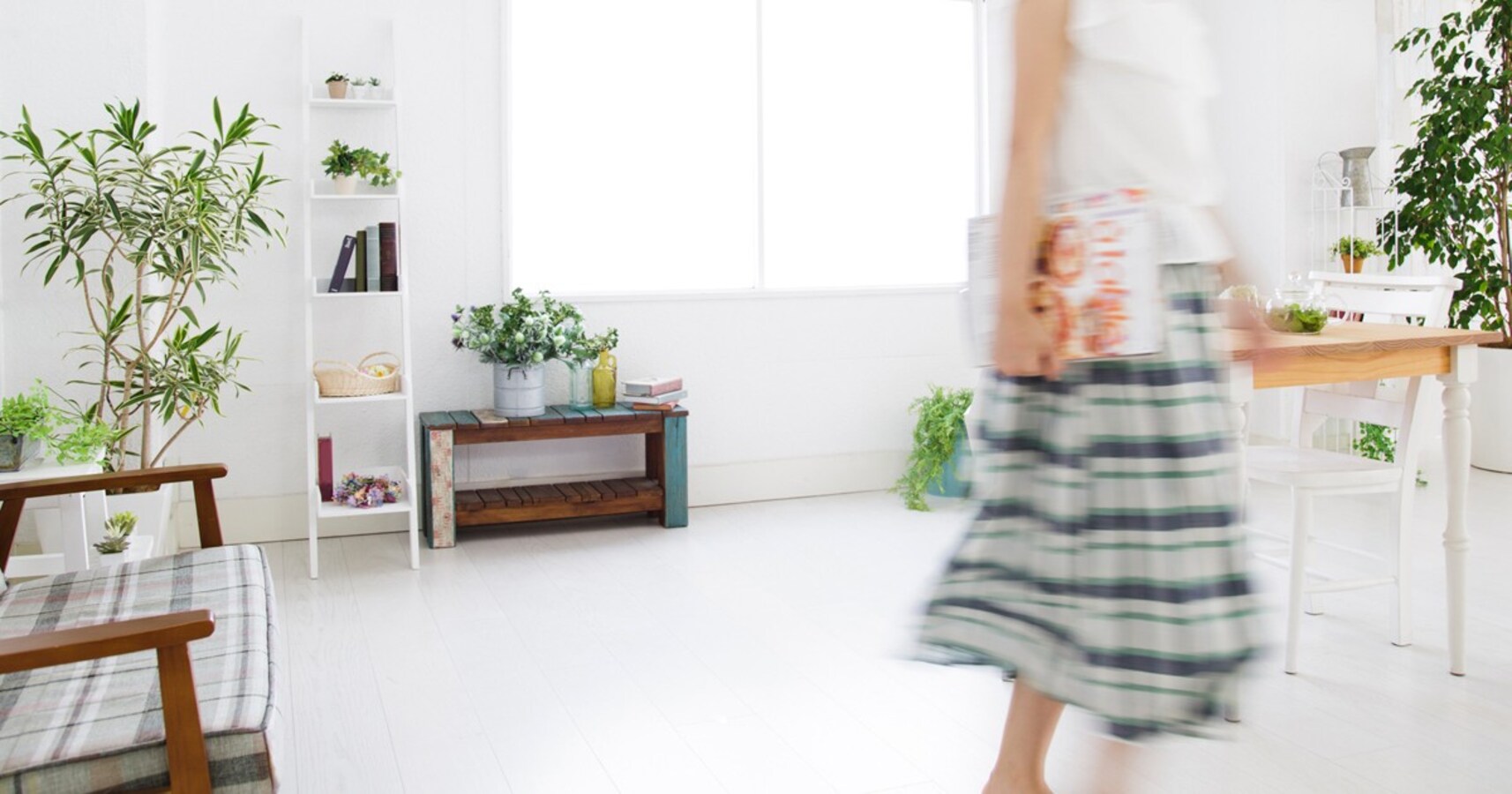 ゴキブリも猛暑で死ぬ どうやって家に入る 蚊 ハエ ゴキブリ の知られざる生態 Citrus シトラス