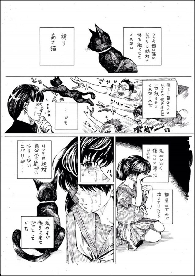 絶対に触らせてくれない誇り高き猫 ある日部屋の隅で泣いていると近くに寄ってきて 不器用な愛情表現に思わず涙 Citrus シトラス