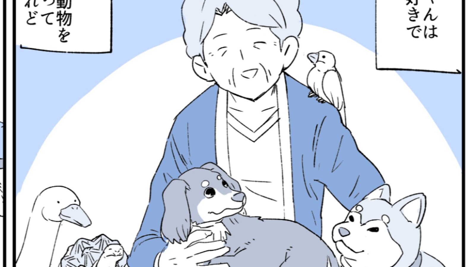 動物好きなのに なぜか猫だけは飼わなかったおばあちゃん その理由がまるで 世にも奇妙な物語 だと話題に Citrus シトラス