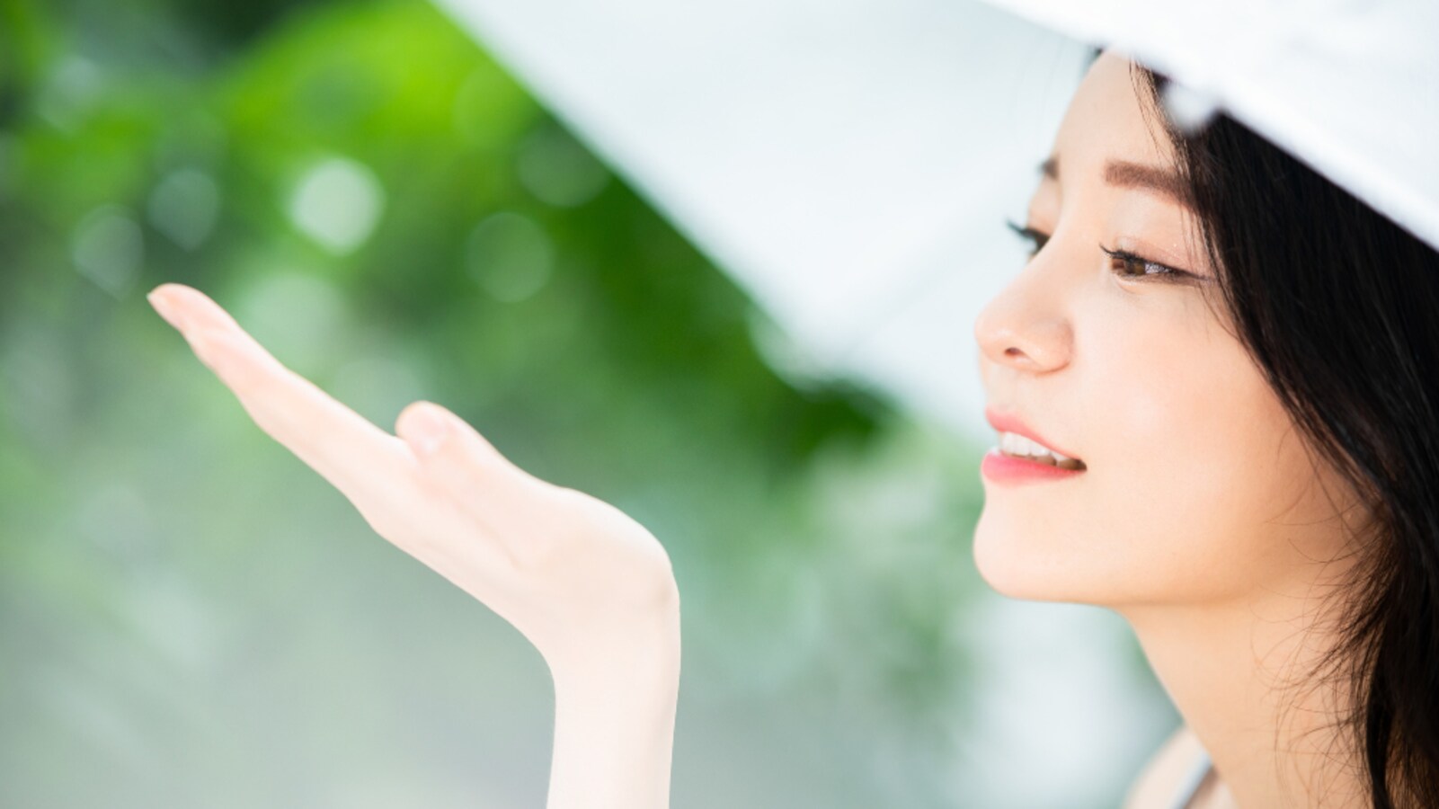 これは雨というものだ って解るのが知識 濡れるから雨宿りしよう ってのが知恵 雨 をモチーフにした例え話に脱帽 Citrus シトラス