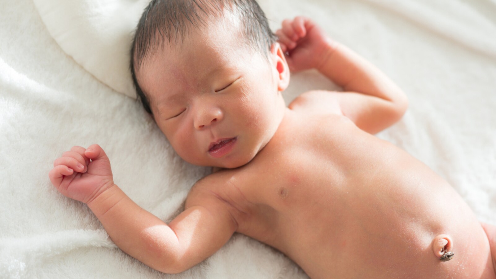 感涙 へその緒 が最後にたどり着く場所を知っていますか 意外な真実に感動の声 Citrus シトラス