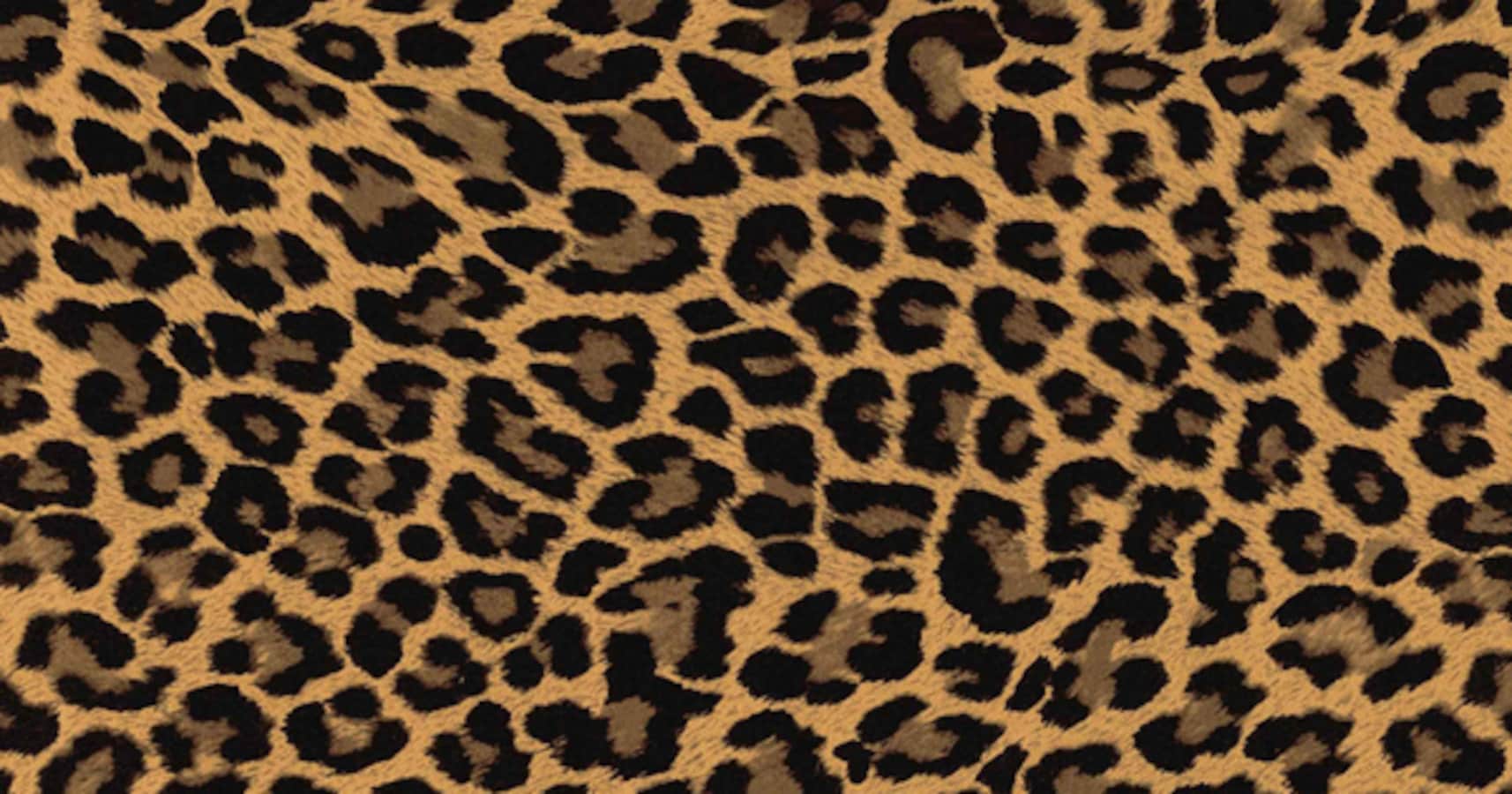 Леопард 180*254