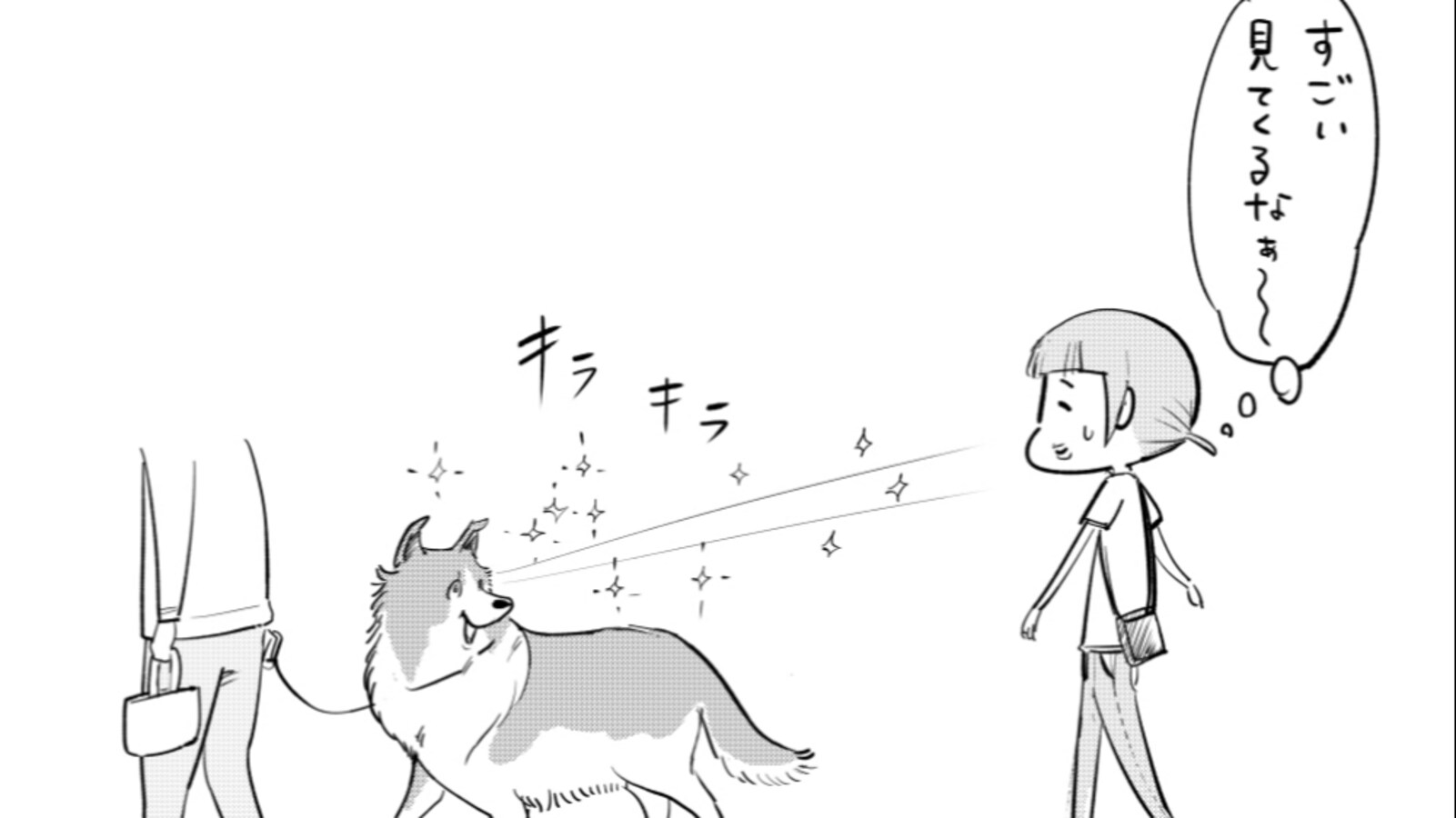 キュン 歩いていると 目の前を歩く犬がチラチラ見てきて 角を曲がった後の行動に癒される Facebook Navi フェイスブックナビ