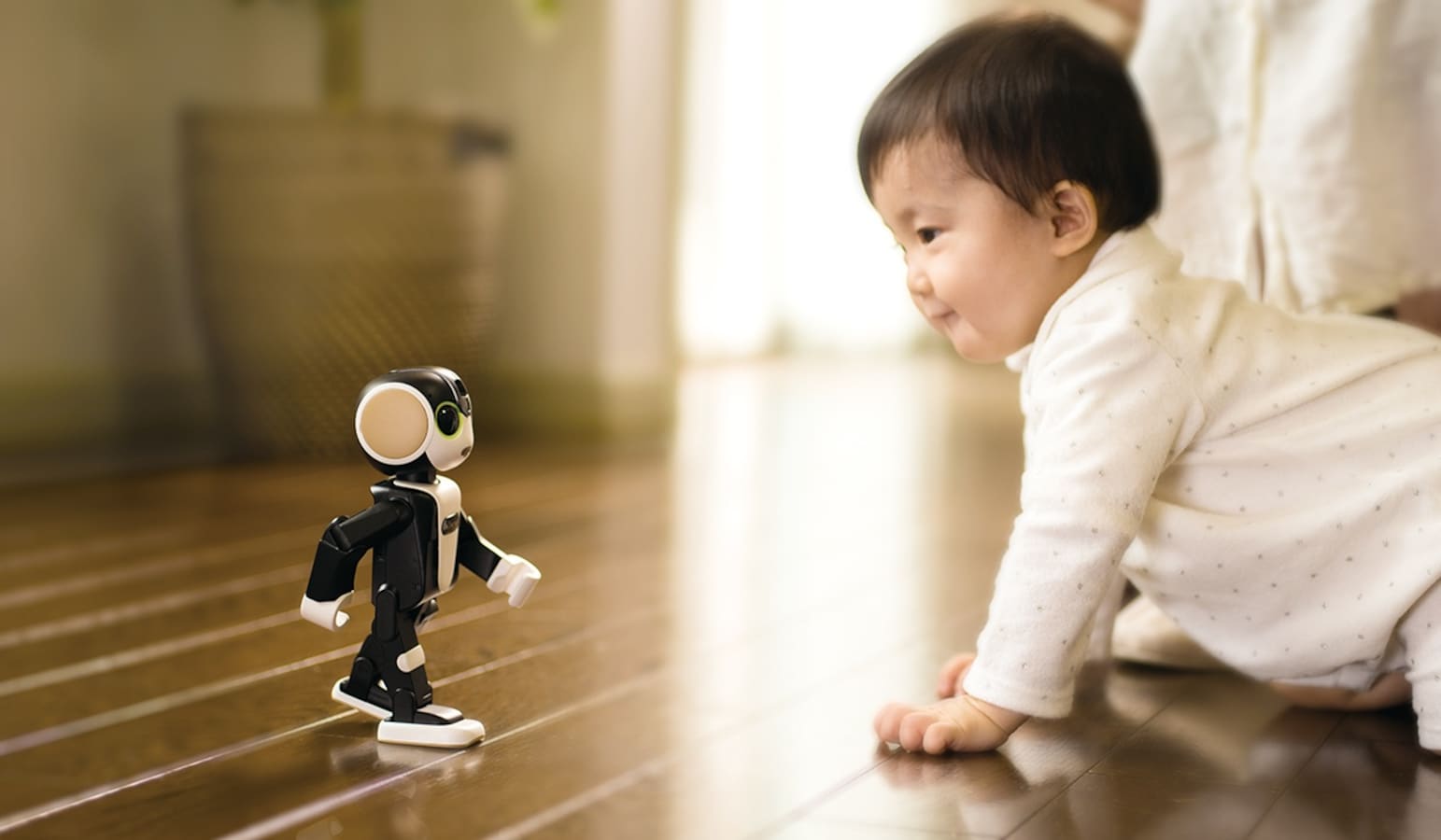 Sharp Launching Robot Smartphone | All About Japan