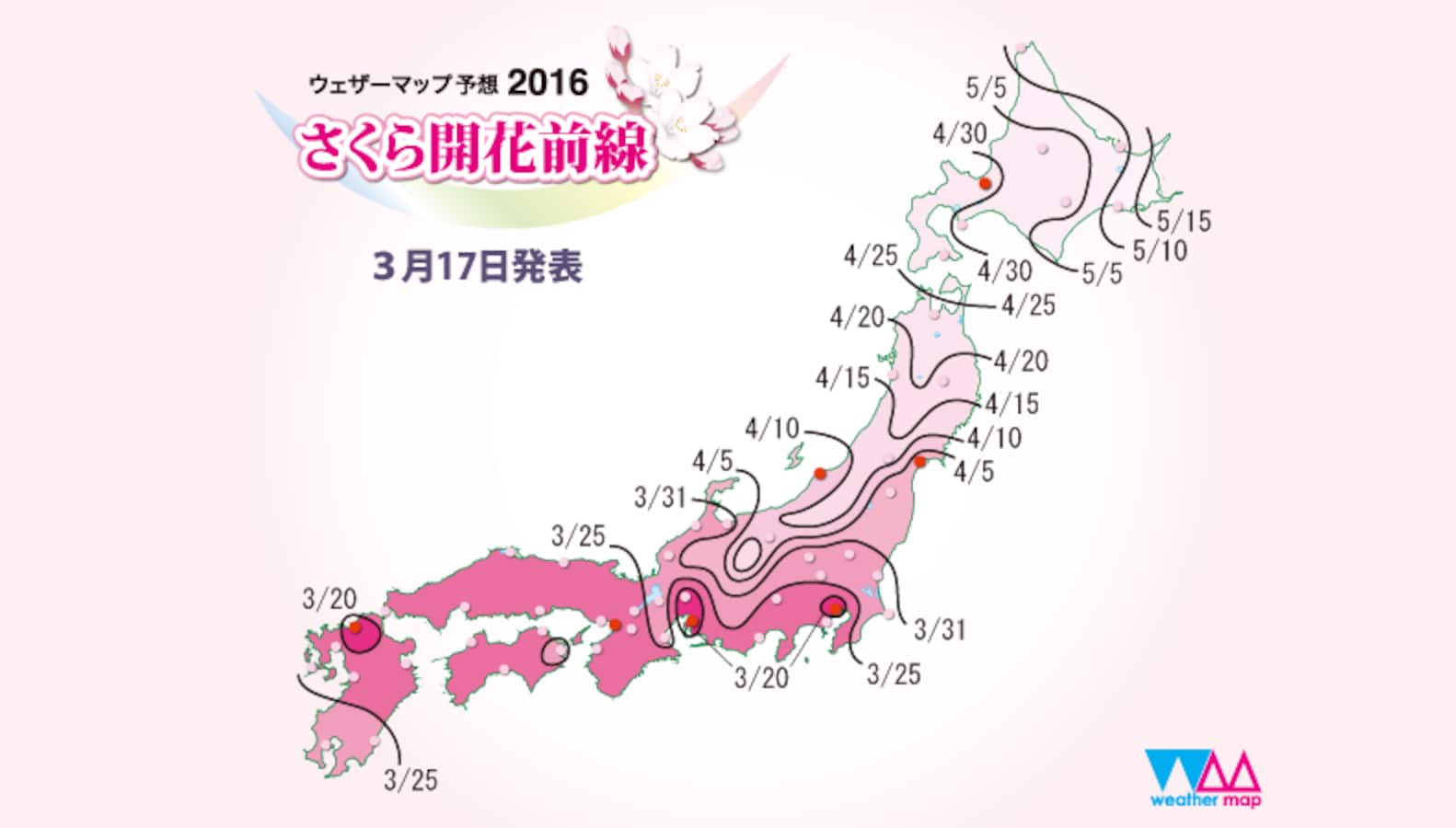 Календарь сакура. Карта цветения Сакуры в Японии. Карта Японии Сакура. Фронт цветения Сакуры. Календарь цветения Сакуры в Японии.