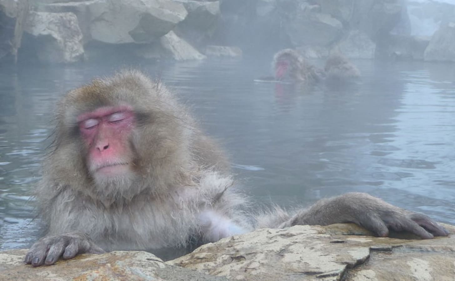 How to Enter Hot Springs Like a Pro | All About Japan