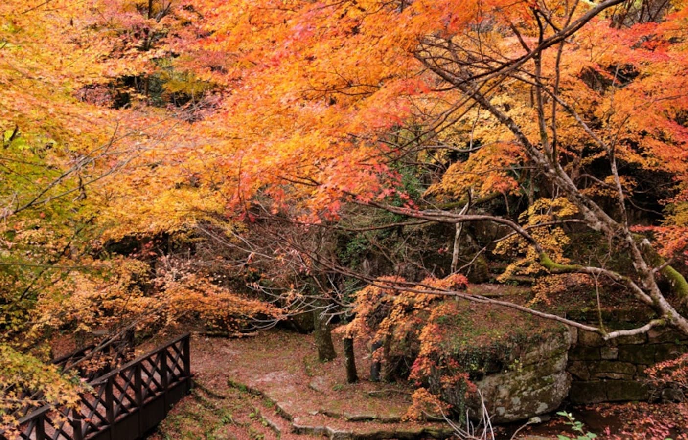 Fukuoka's 4 Best Fall Color Spots All About Japan