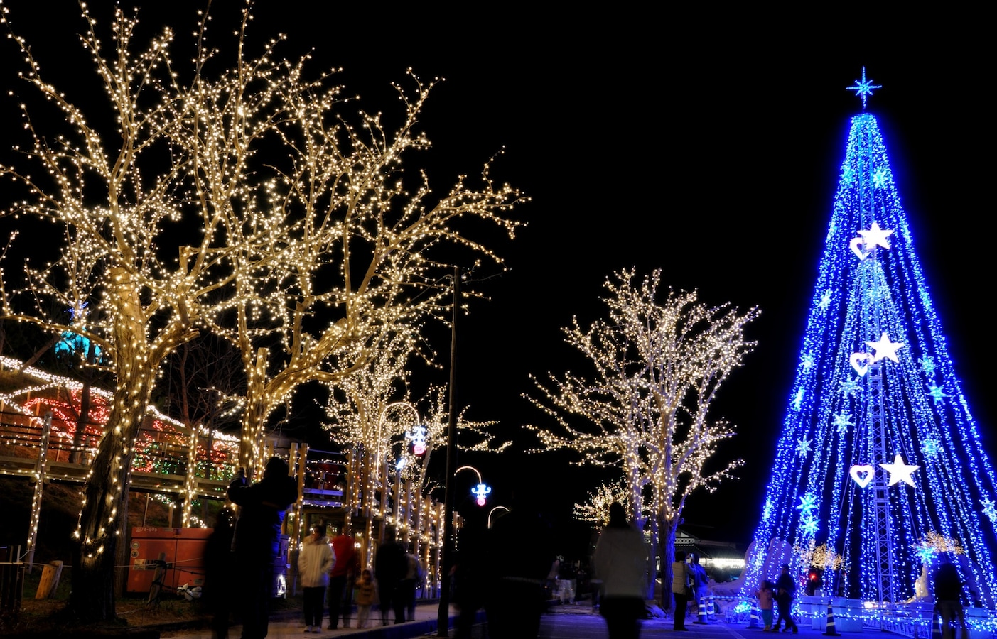 Tottori’s Winter Season: Lights & Sand Dunes | All About Japan