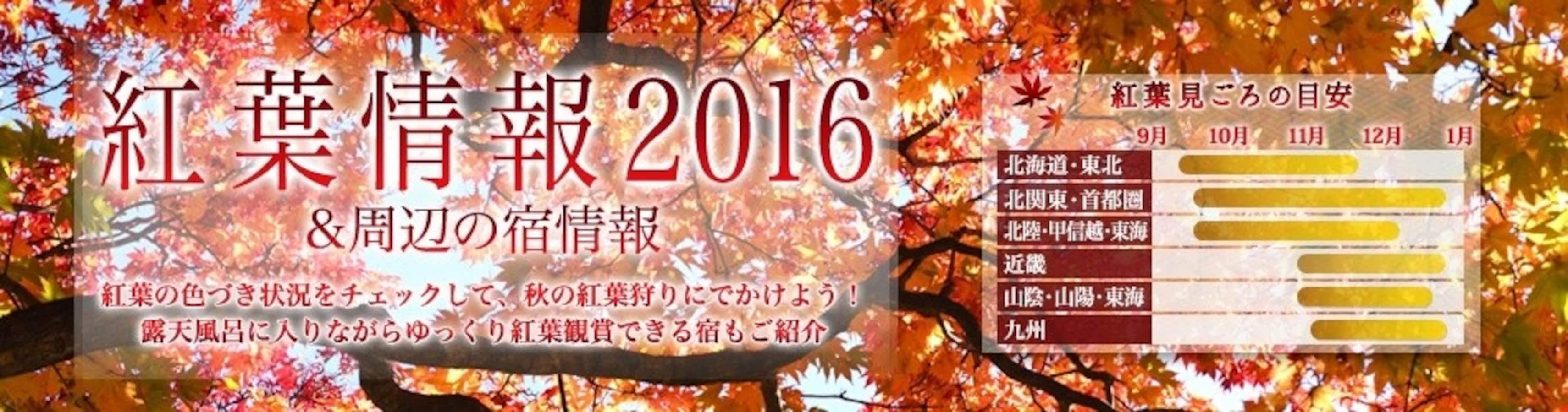 今季追红叶美景时 必须参考的5大情报网站 All About Japan