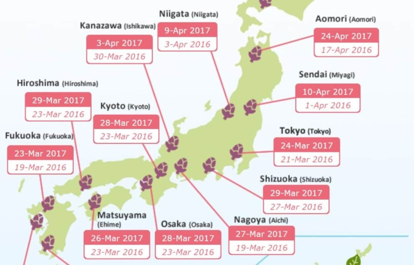 How to Keep Track of Japan's Cherry Blossoms | All About Japan