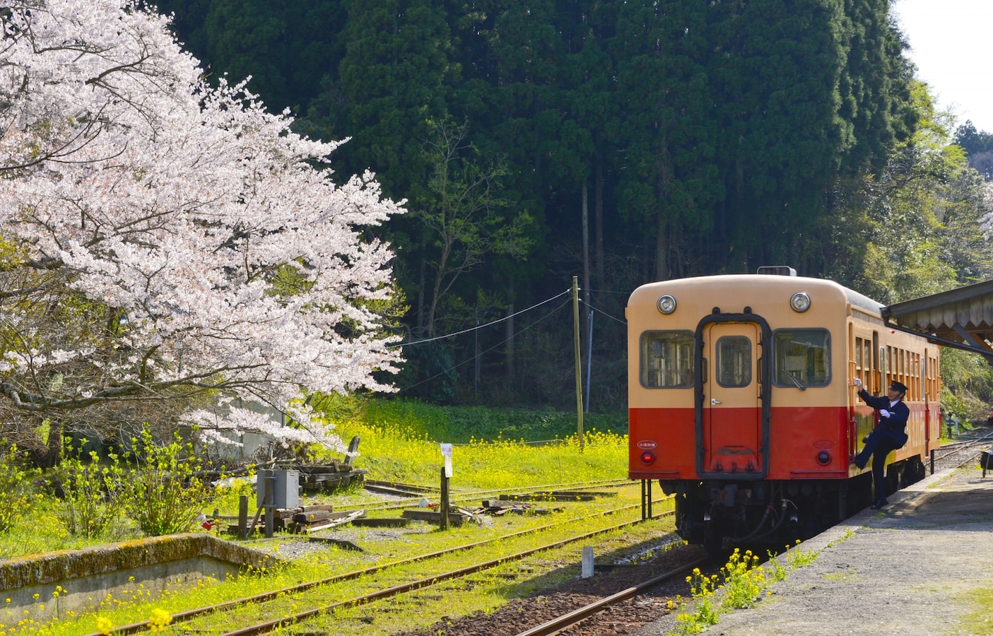 รถไฟญี่ปุ่น All About Japan