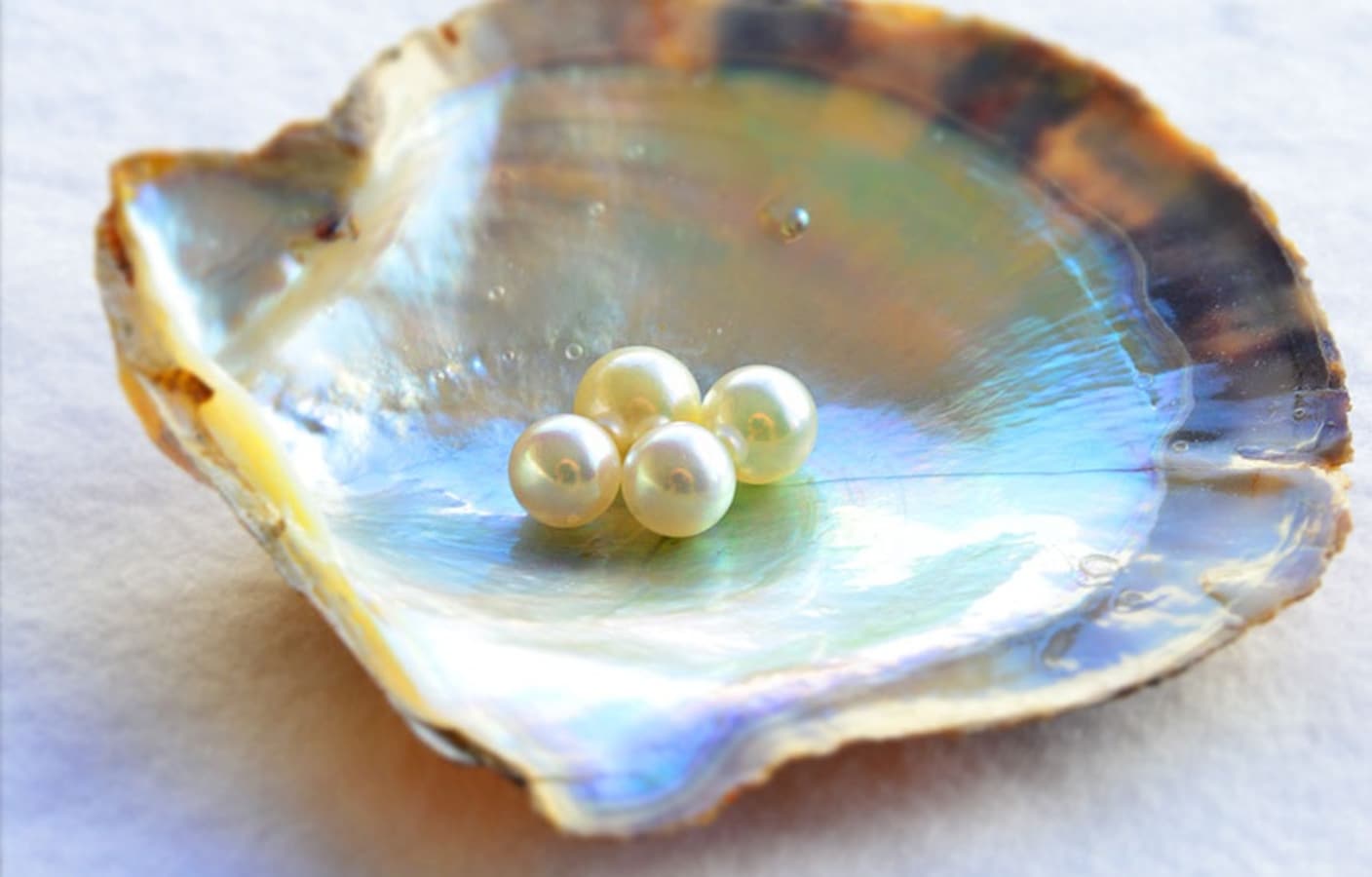 The Secrets of Pearl Harvesting in Japan All About Japan