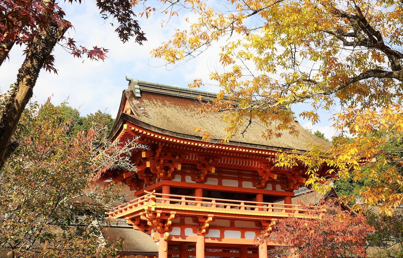 【京都自由行】參拜能量景點「上賀茂神社」再逛市集！追楓者別錯過～秋季御守限定販售中！ | All About Japan