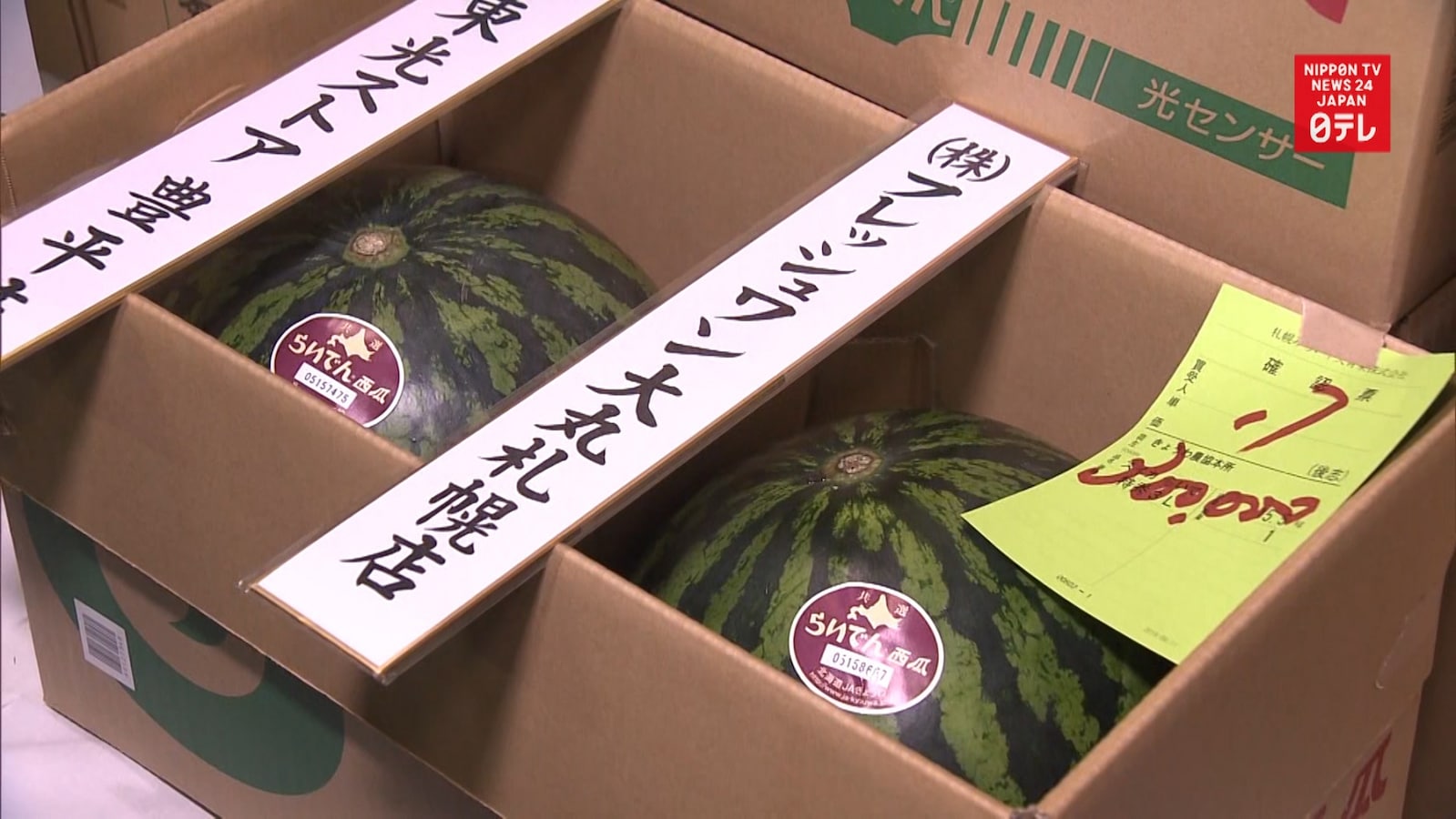 Japans Super Expensive Seasonal Watermelons All About Japan 