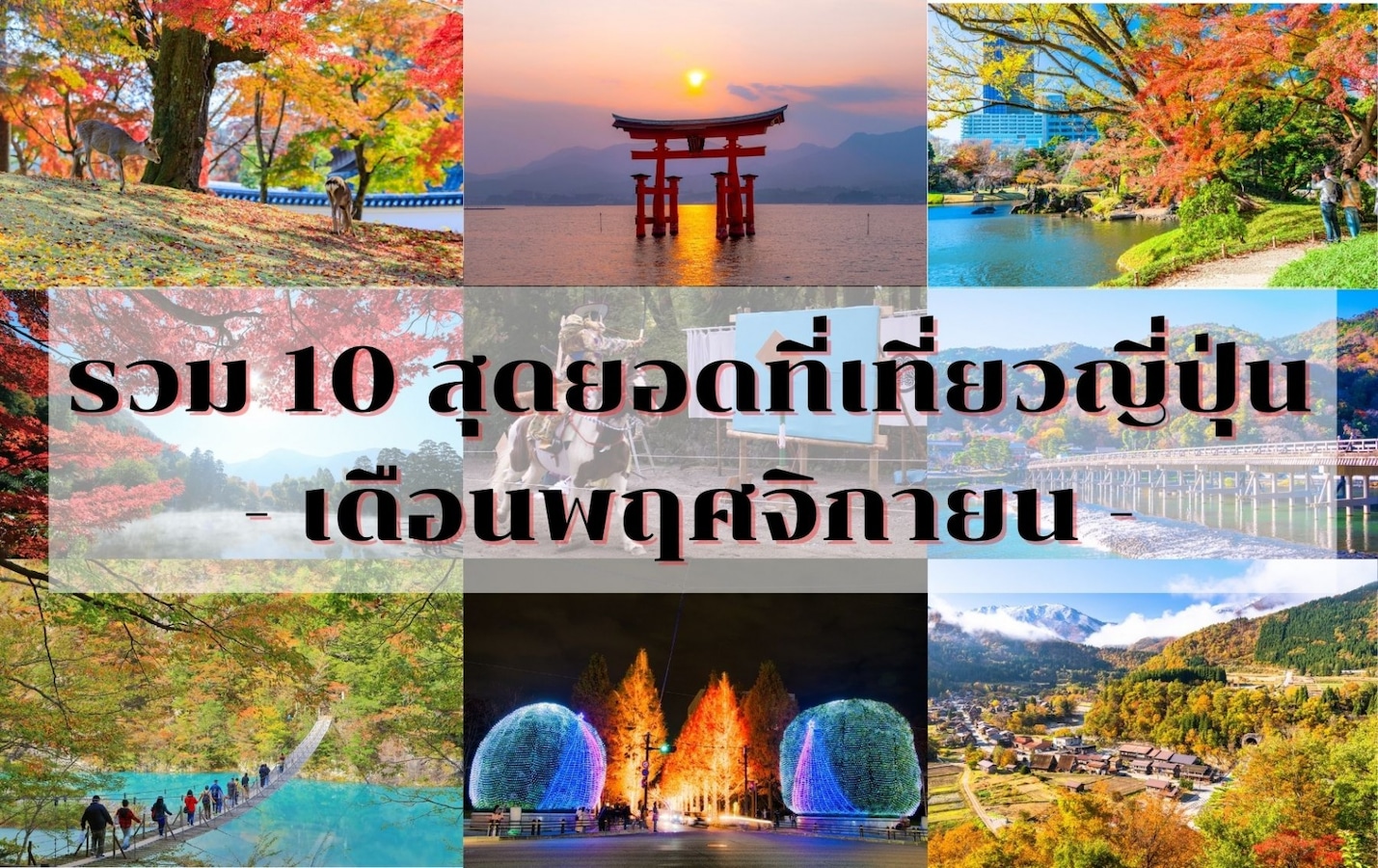 รวม 10 สุดยอดที่เที่ยวญี่ปุ่นเดือนพฤศจิกายน | All About Japan