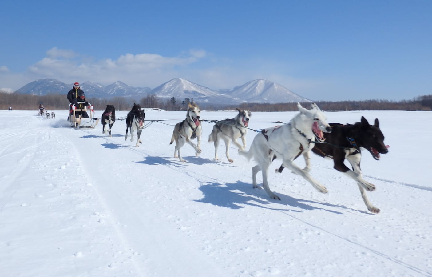 7 Wild Winter Adventures in Japan's Outdoors | All About Japan