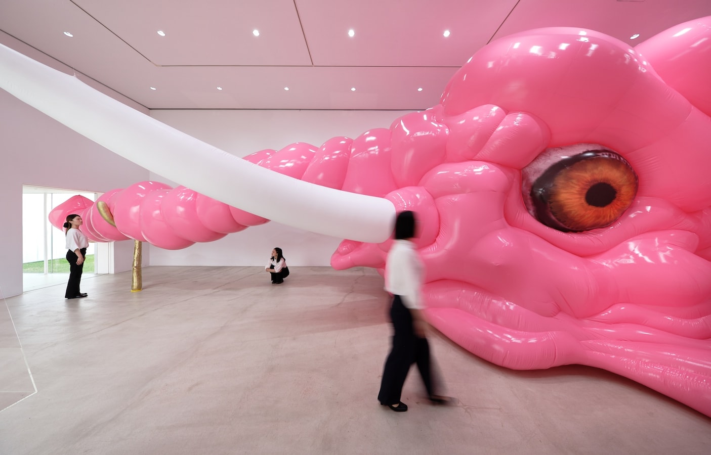 Getting Comfortable with the Elephant in the Room: Noboru Tsubaki