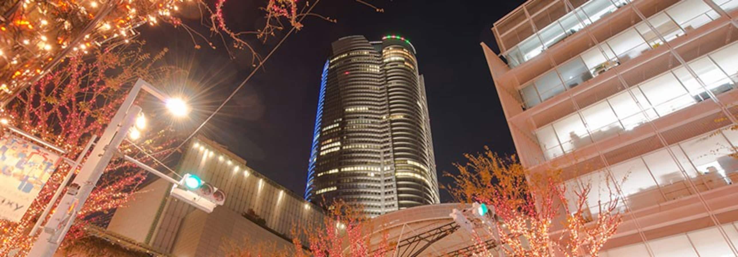 Roppongi All About Japan