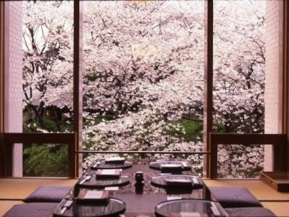 お花見ができる東京のレストラン12選 店内からゆったり桜を鑑賞 All About オールアバウト