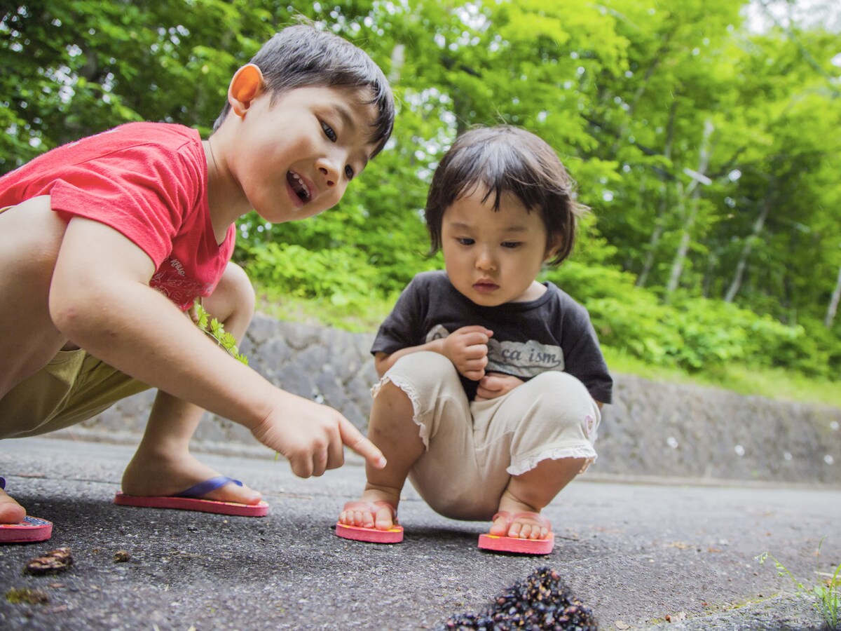 虫さされ 蚊 蜂 夏に注意したい虫と刺されたときの対処法 All About オールアバウト