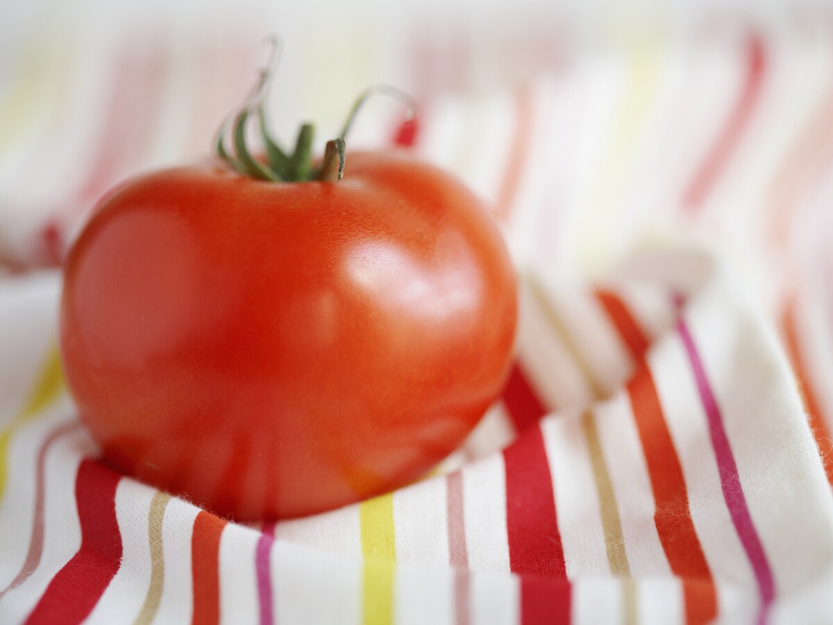 トマトだけで簡単フルコース 美と健康のリコピンたっぷりレシピ All About オールアバウト