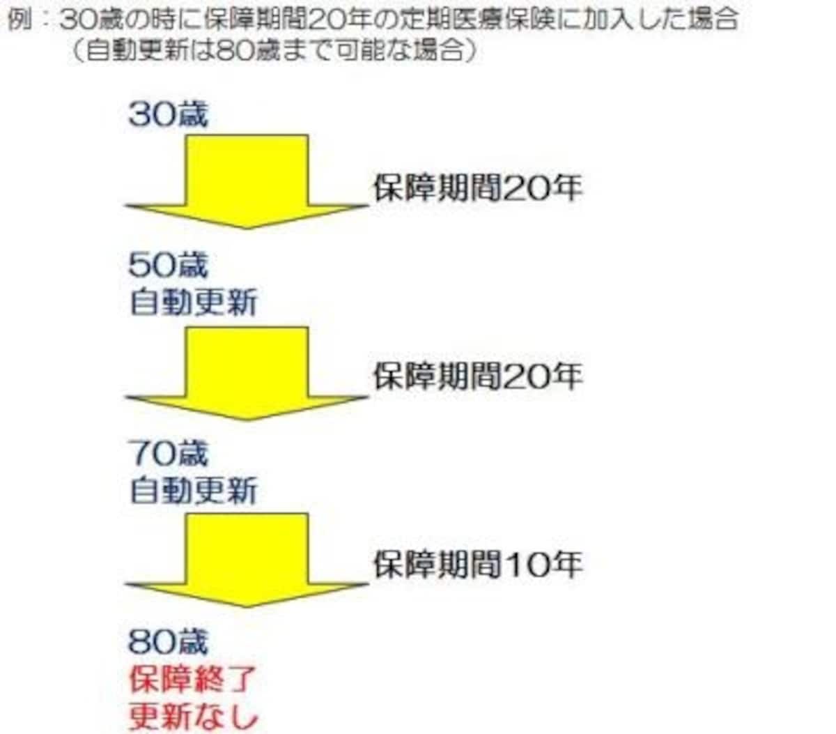  定期医療保険（年満了）