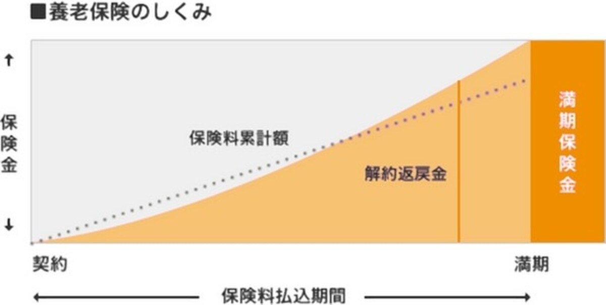 養老保険の仕組み
