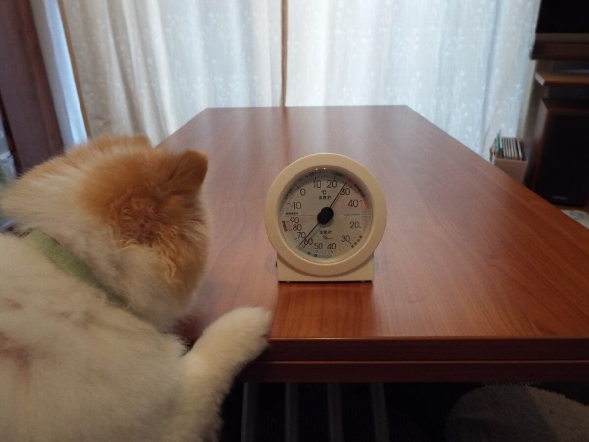 僕たちの部屋の温度と湿度はどれくらいかな？