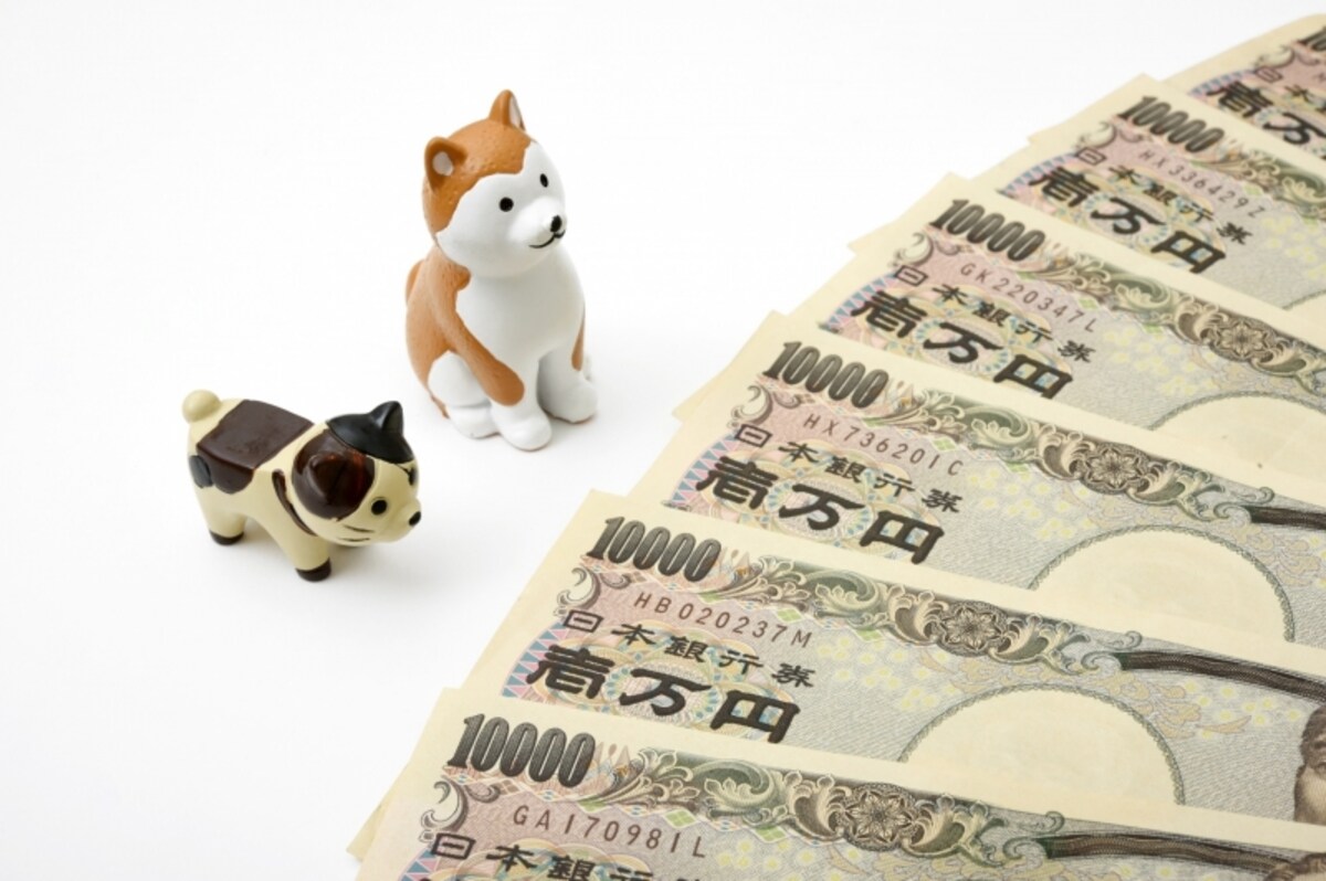毎年かかるお金も侮れないね……
