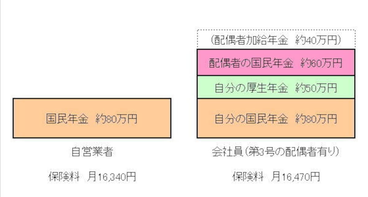 点線部分の「配偶者加給年金」がプラスされると差は更に広がる。保険料については、平成30年度額