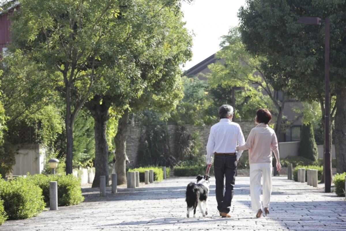 公的年金のうち、「障害年金」と「遺族年金」は非課税のため、そもそも確定申告は必要ない