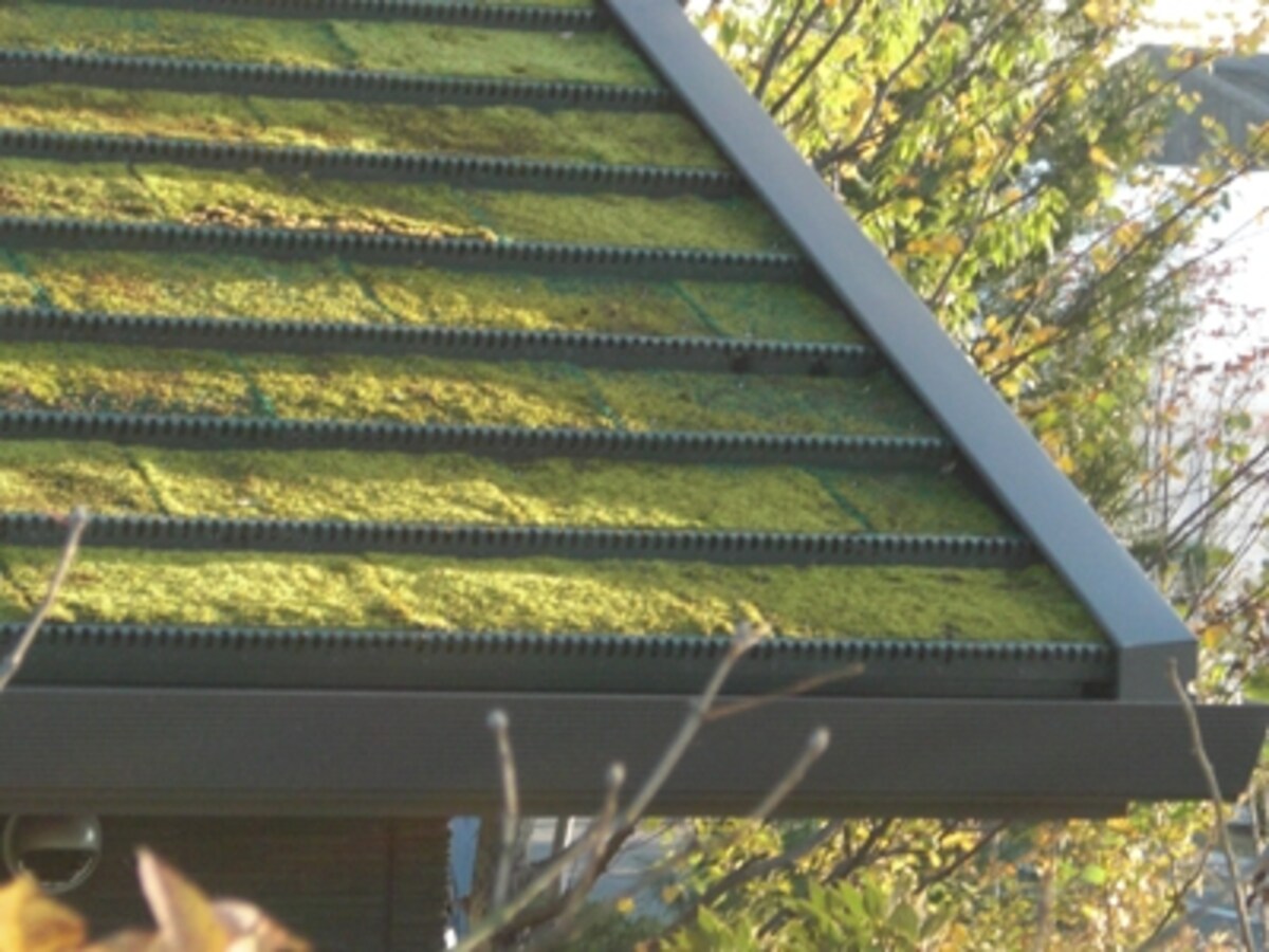 屋根緑化や屋上緑化の技術も進化している。写真は芝が張られた屋根緑化の事例（積水ハウスのゼロエミッションハウス）