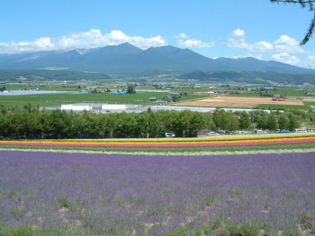 ファーム富田（4）