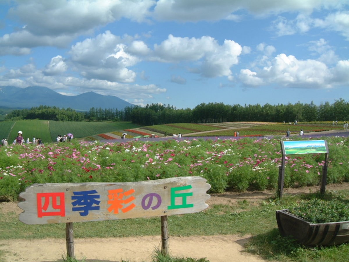 四季彩の丘（1）