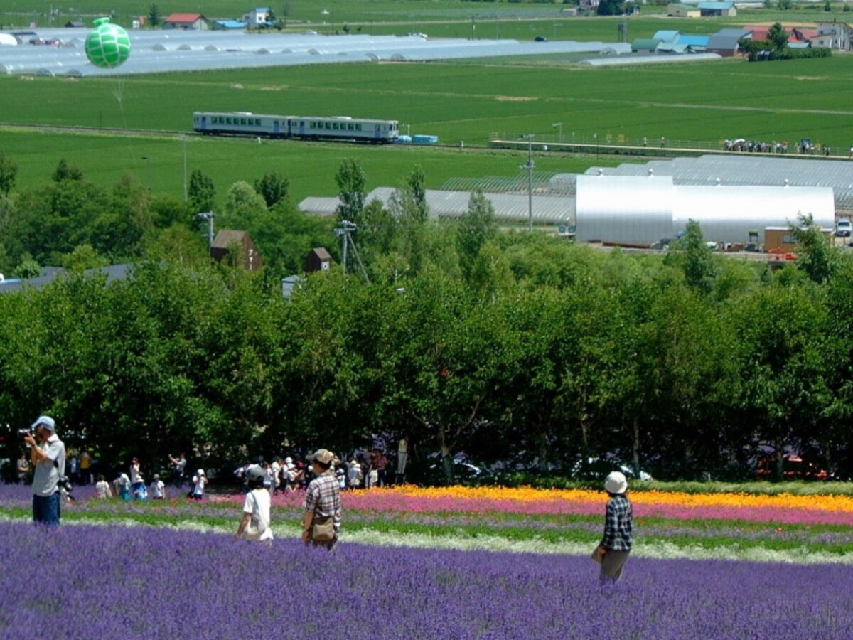 JR富良野線の普通列車／ラベンダー畑駅