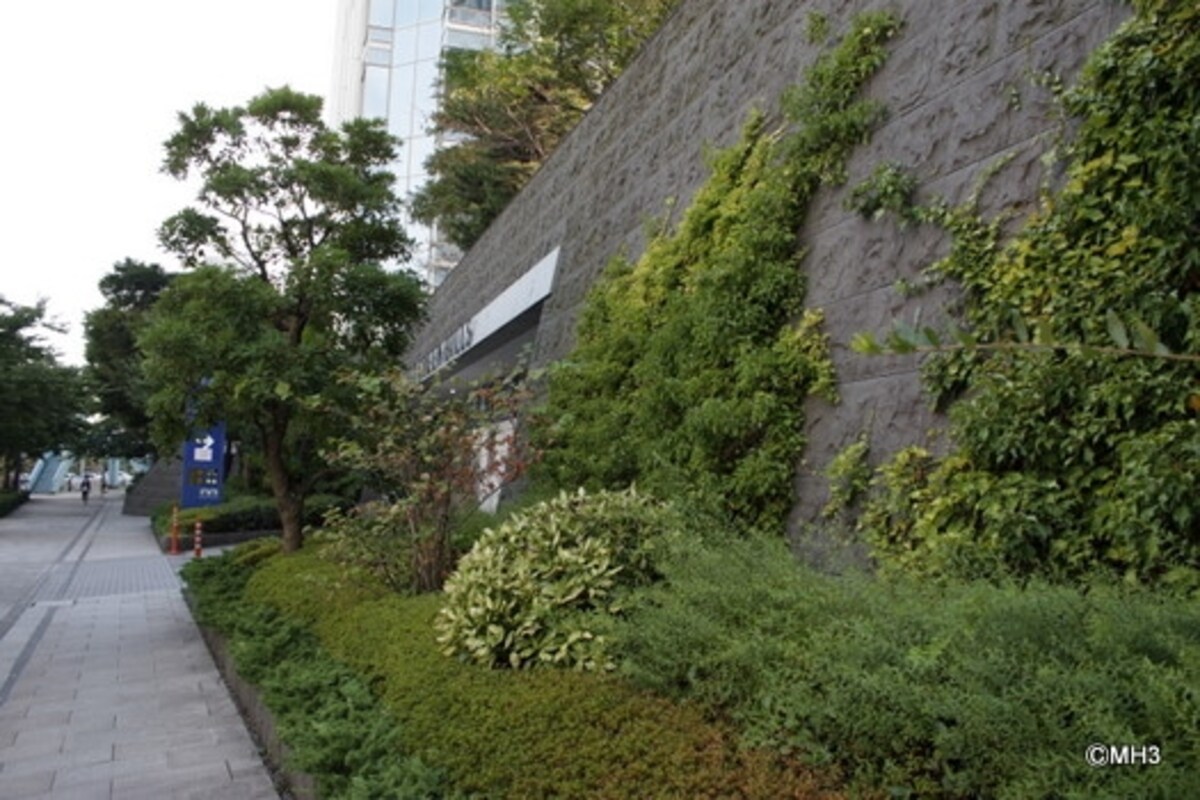 駐車場出入り口