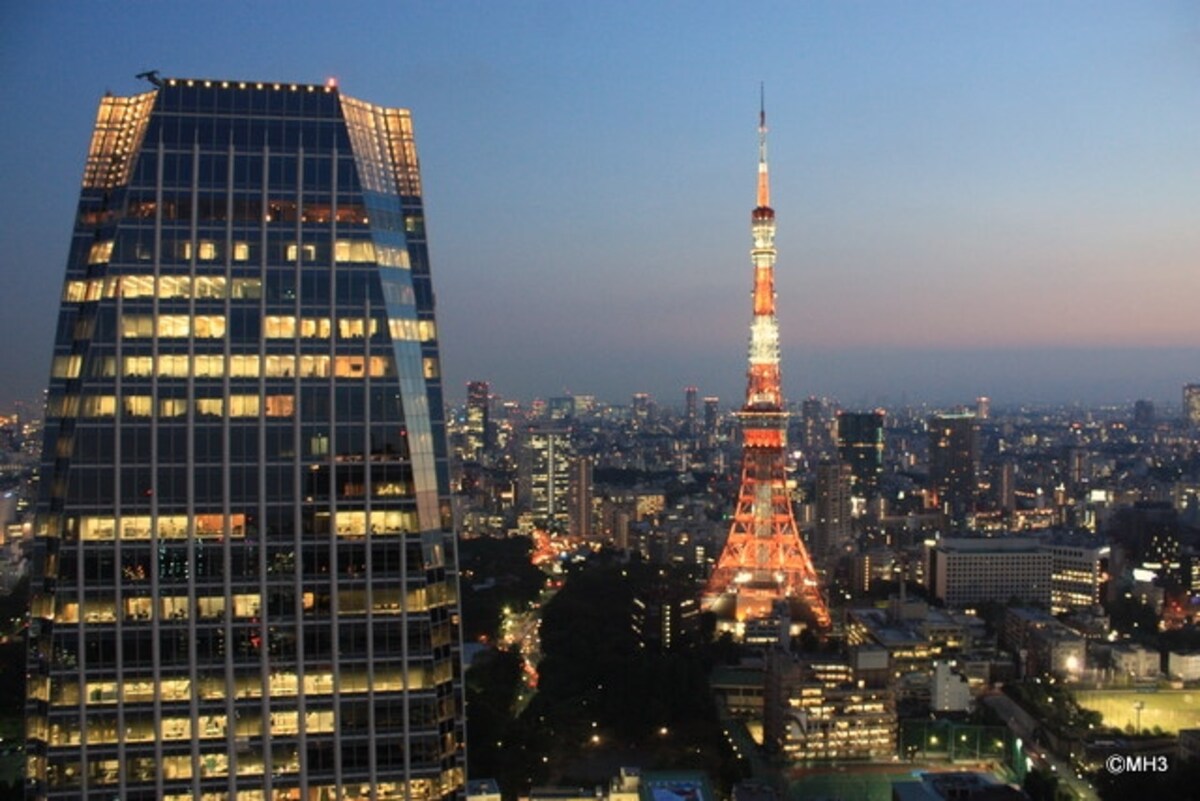 スカイデッキからの夜の眺望