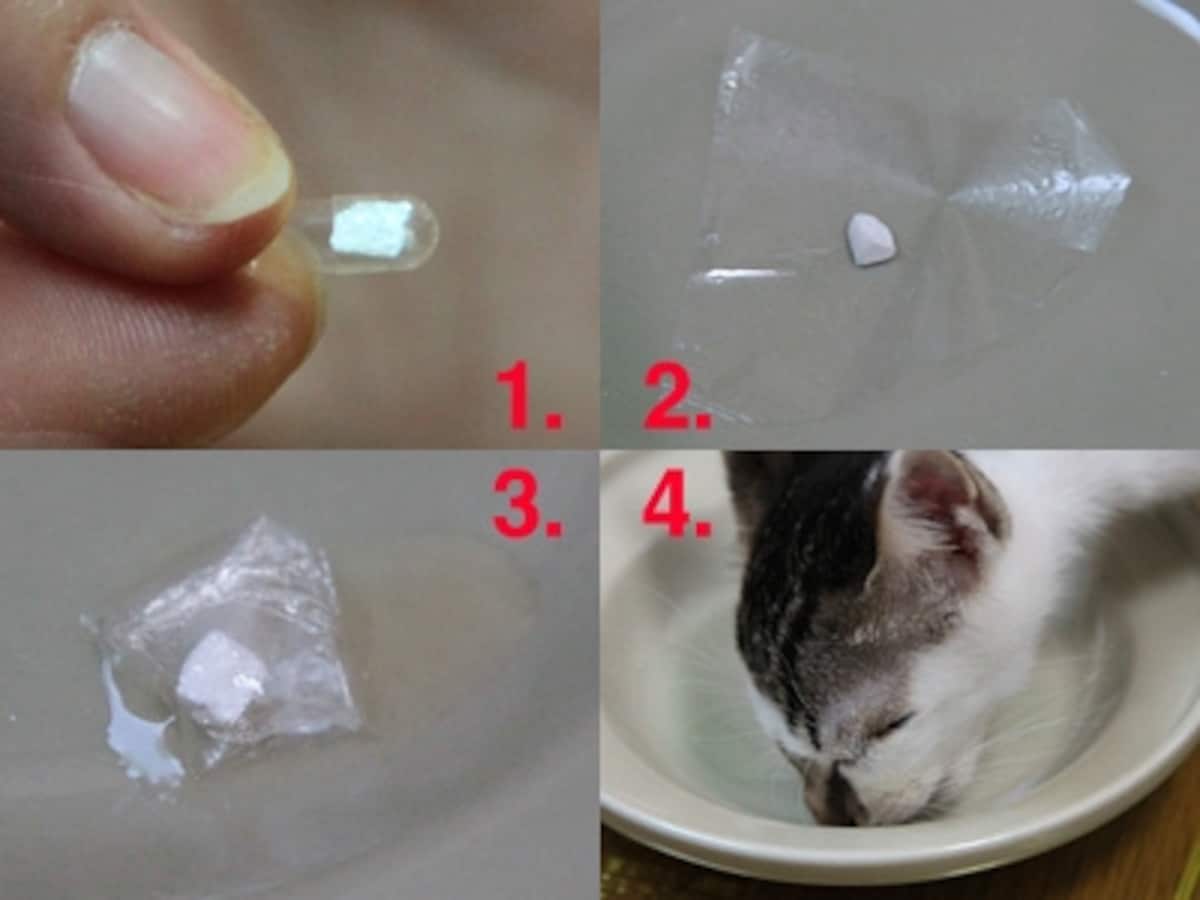 1.粉薬や飲みにくい錠剤はカプセルに入れて　2.オブラートに乗せて　3.包んで缶詰の汁にひたします　4.舐めて飲み込ませます