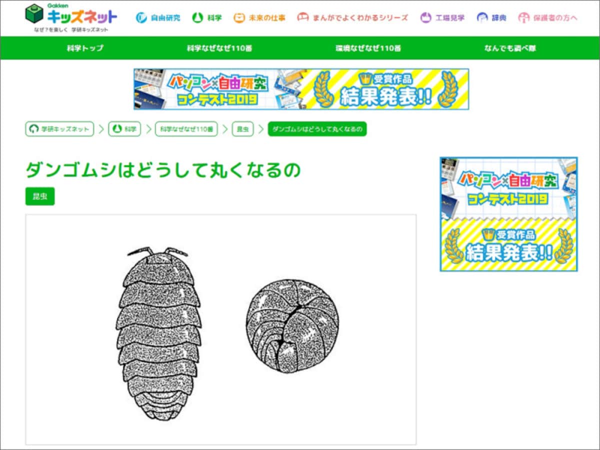 Gakkenキッズネット ダンゴムシはどうして丸くなるの
