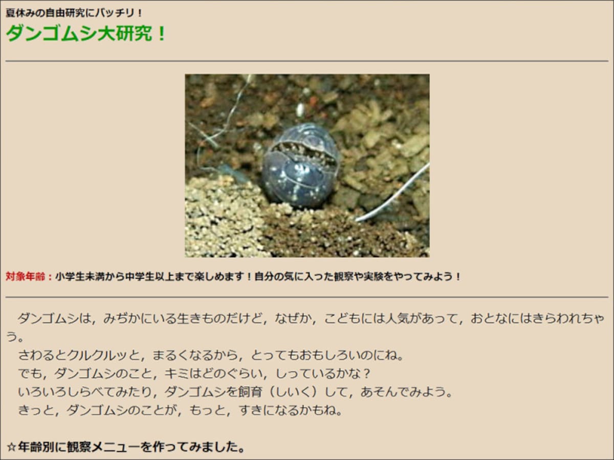 身近な自然で遊ぼ！ダンゴムシ大研究