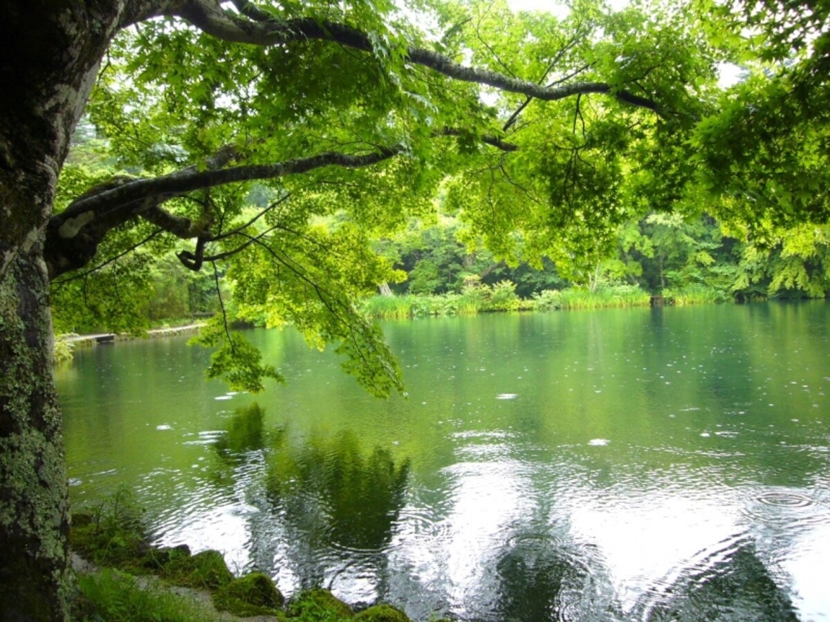 雲場池