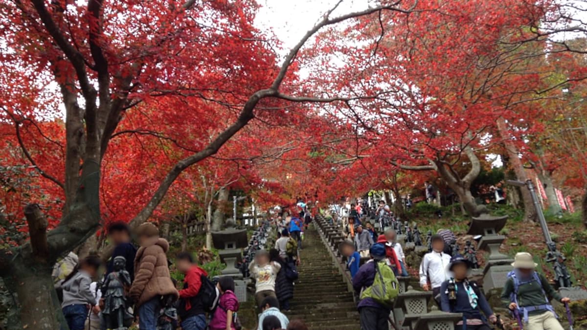 大山不動尊（大山寺）の紅葉（1）