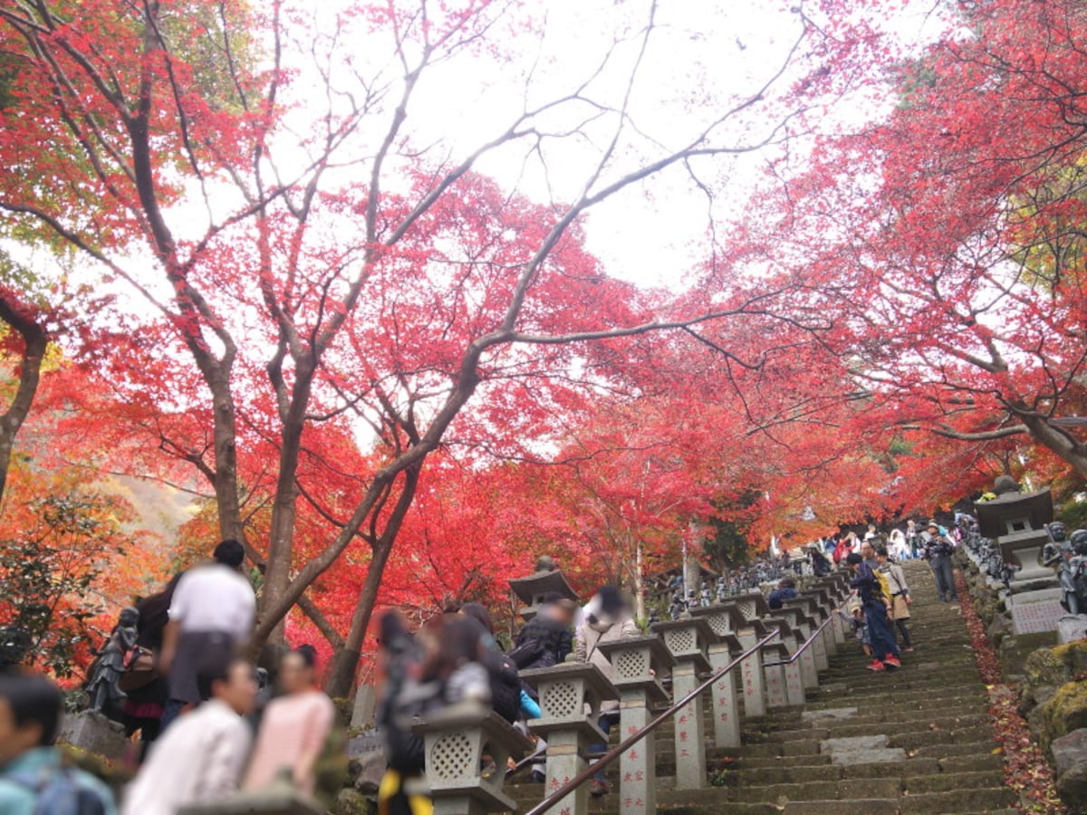 大山不動尊（大山寺）の紅葉（5）
