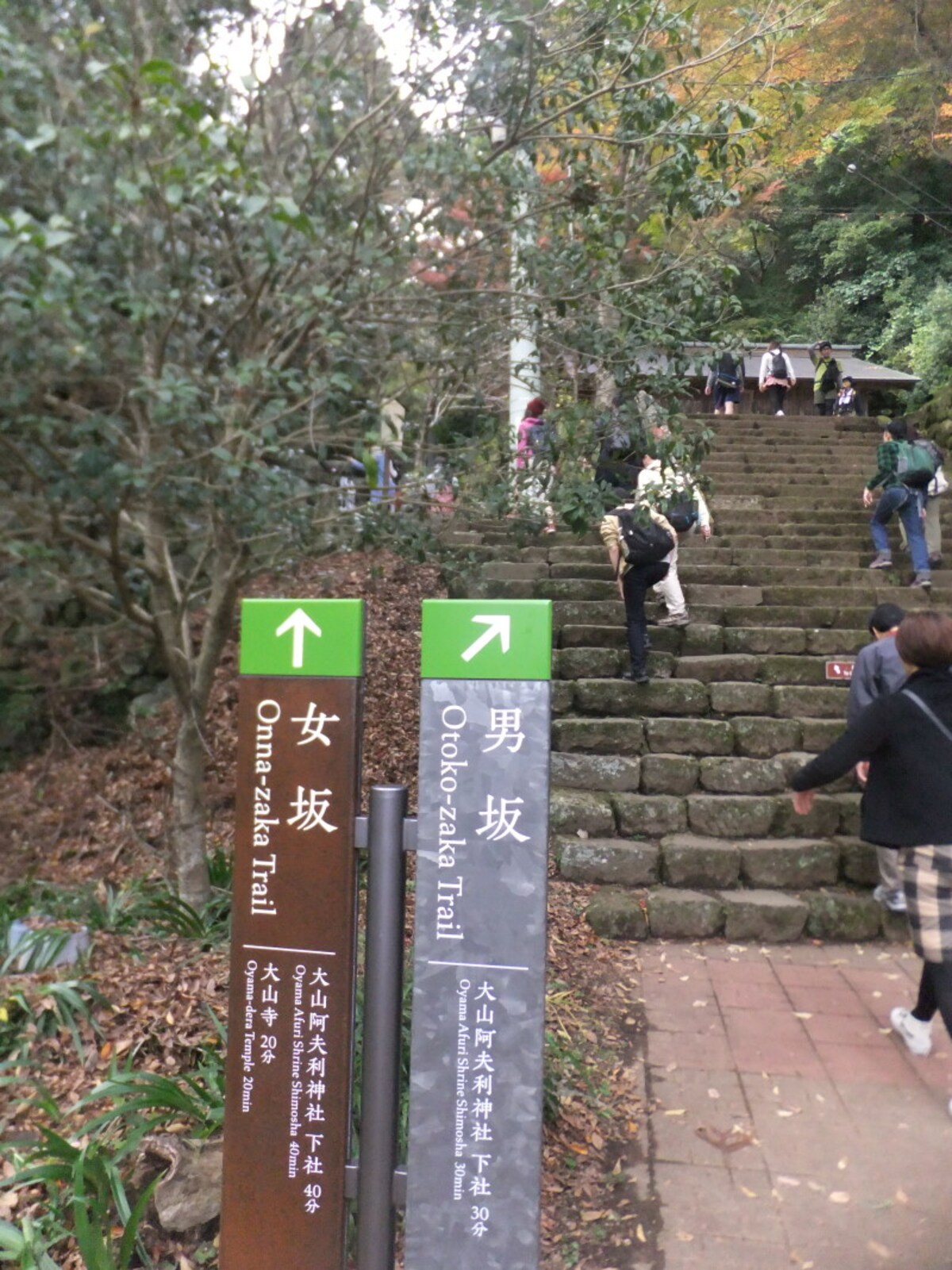大山阿夫利神社 参道・男坂と女坂の分岐点