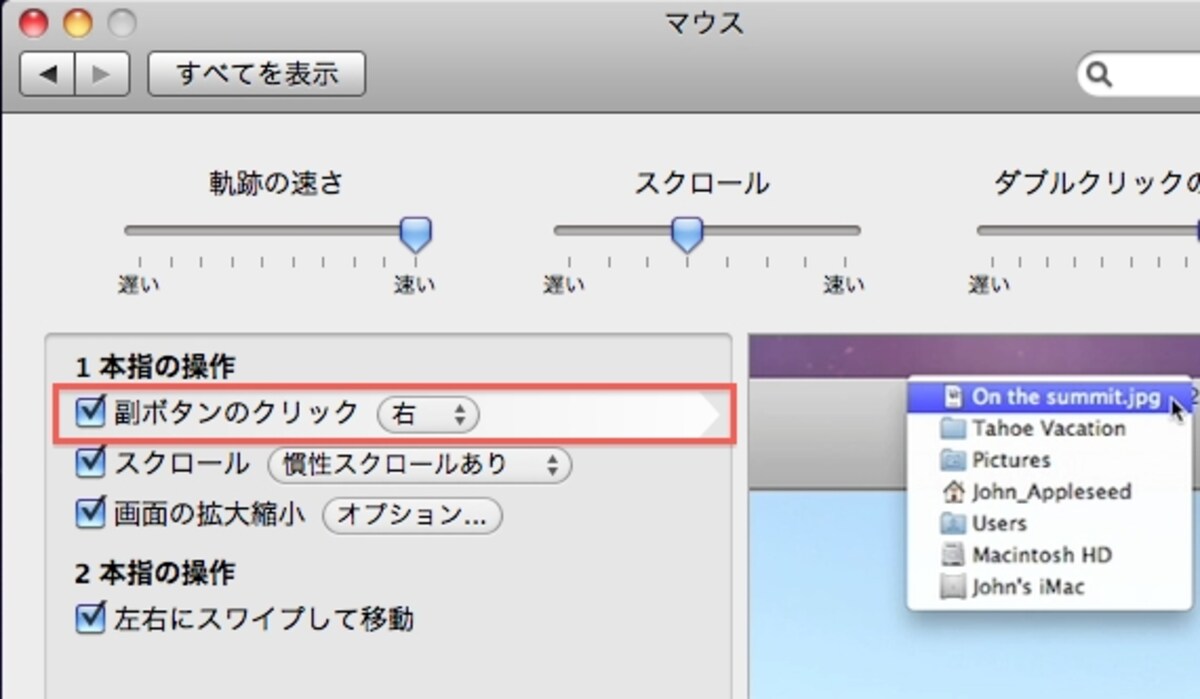 MagicMouseのシステム環境設定。システム環境設定 - マウスは接続しているマウスの機種によって表示が変わります（クリックで拡大）