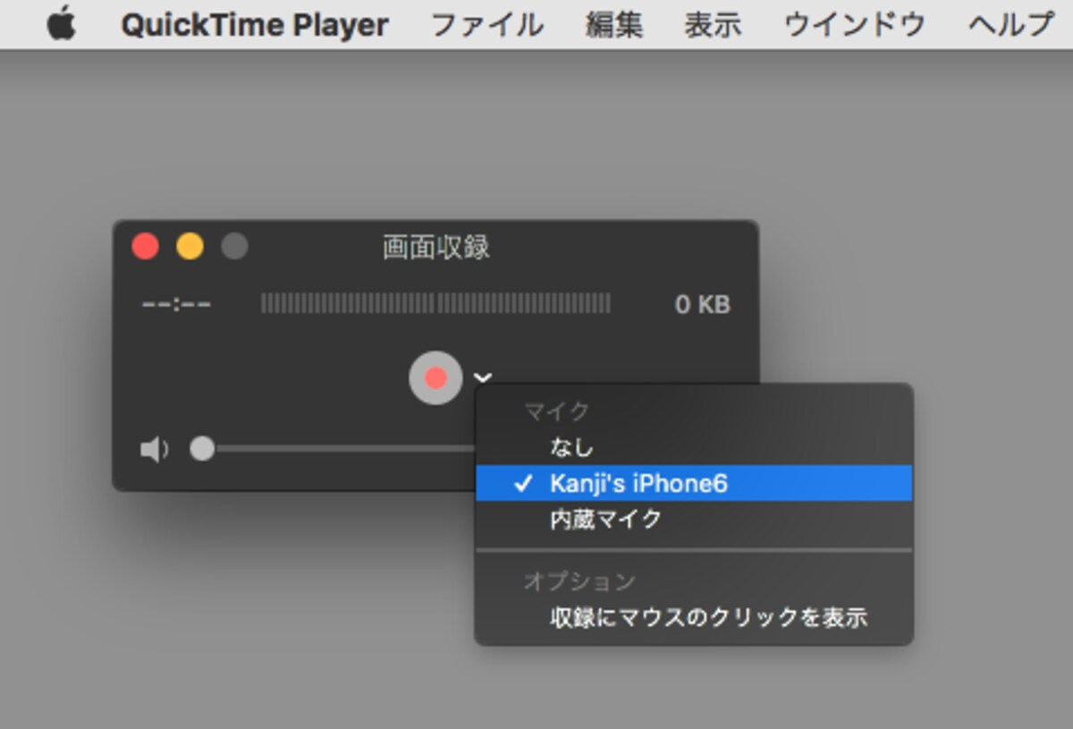 画面収録では、マイク音声や外部音源しか選択できない（クリックで拡大）