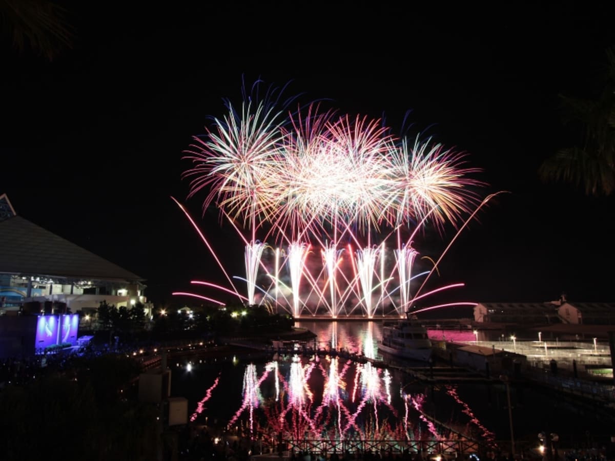 音楽に合わせて花火が打ち上がる「ニューイヤー花火シンフォニア」（画像提供：横浜・八景島シーパラダイス）